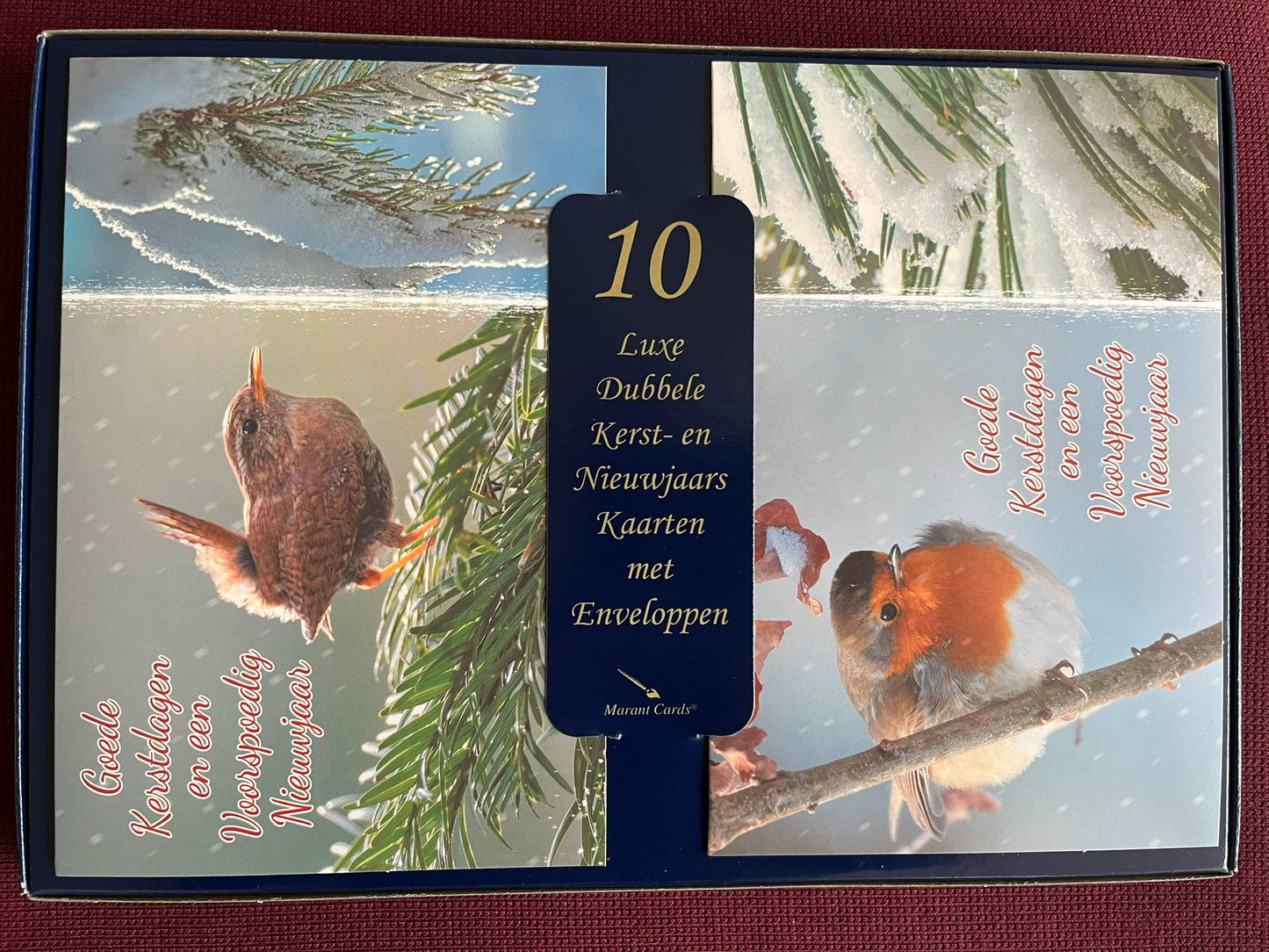 Kerstkaarten met vogels op tak (10 stuks)