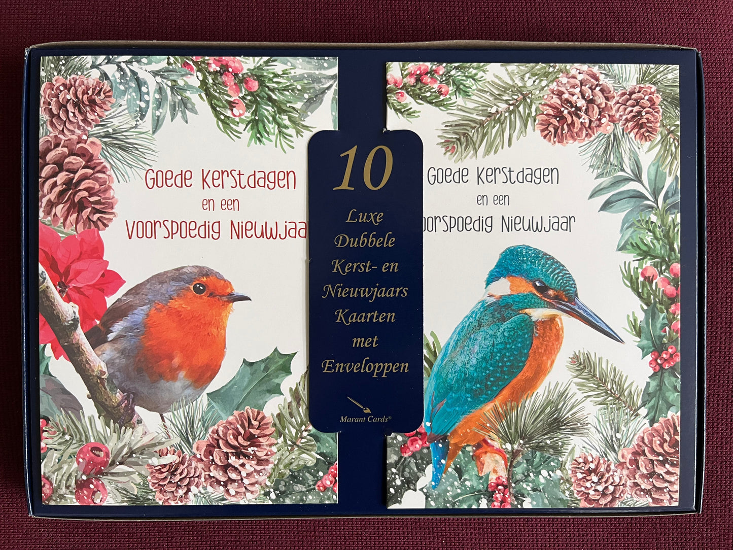 Kerstkaarten met kleurrijke vogels (10 stuks)