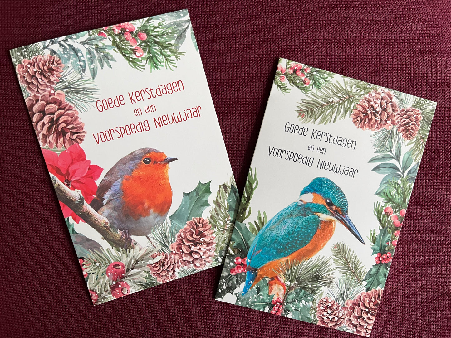 Kerstkaarten met kleurrijke vogels (10 stuks)